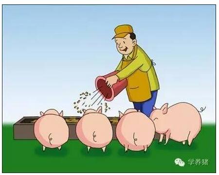 养殖户判断猪饲料质量好坏的5个误区,千万别闯入!