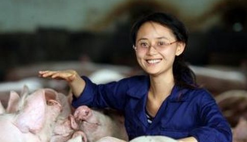 女养猪户劁小猪图片